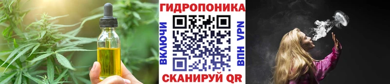 МЕГА зеркало  Шахунья  Canna-Cookies конопля  наркотики 