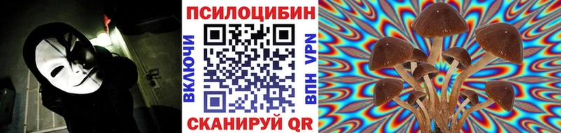 блэк спрут ССЫЛКА  Шахунья  Галлюциногенные грибы GOLDEN TEACHER 