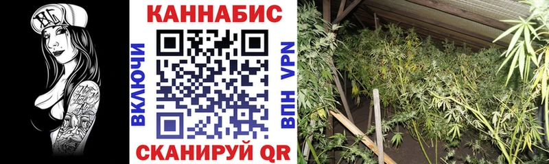 купить  цена  MEGA ССЫЛКА  дарк нет как зайти  Шахунья  Каннабис индика 